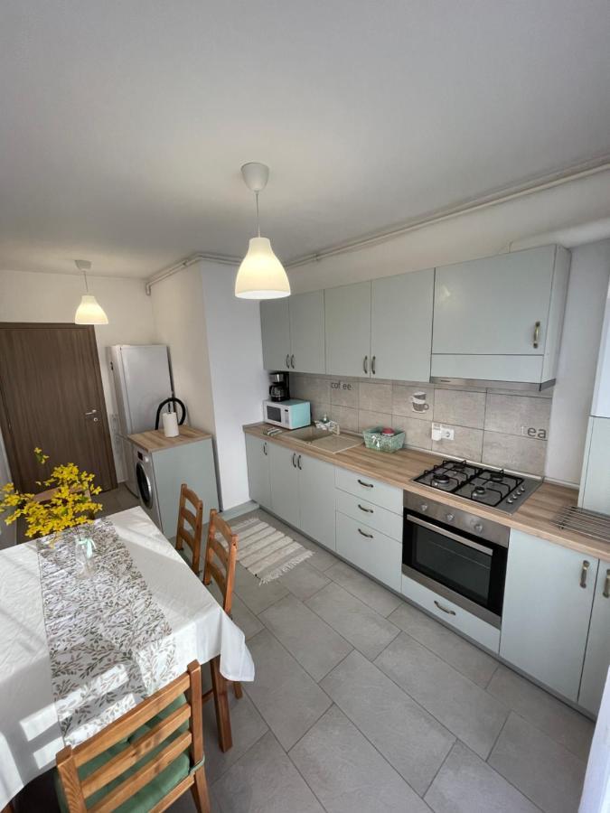 Roxi'S Apartment Sibiu Exteriér fotografie